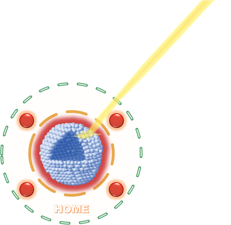 Logo Myqdot2-768x747