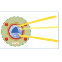 Logo Myqdot3-e1540991063346